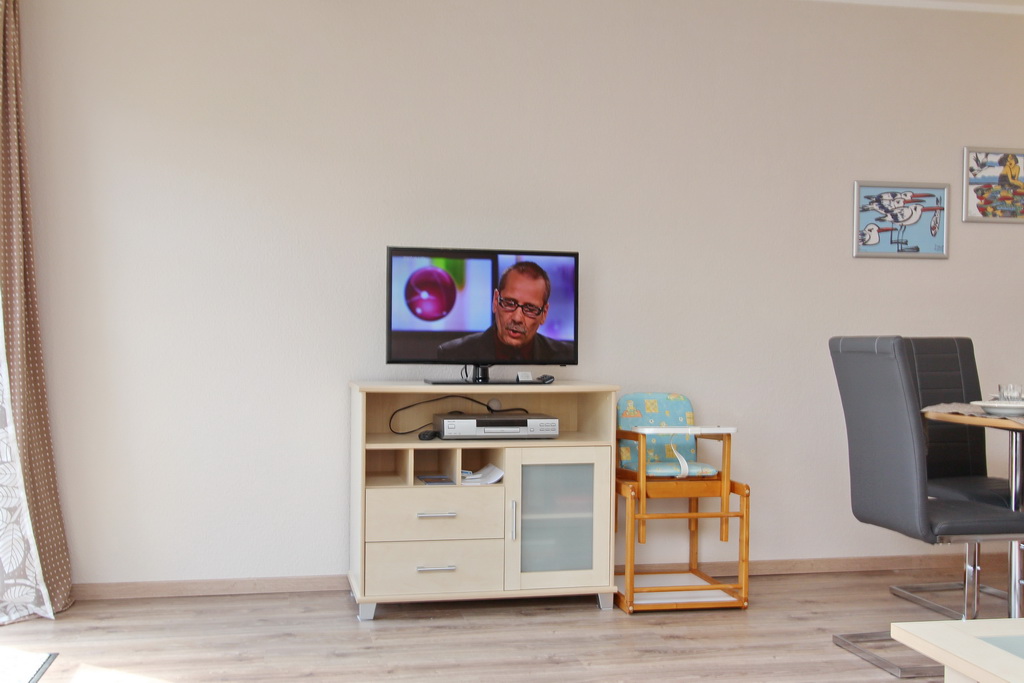 großzügiges Wohnzimmer Flachbild-TV
